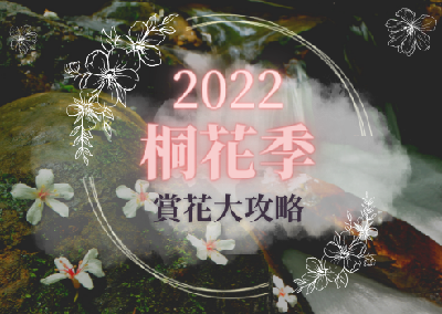 2022桐花季-賞花大攻略