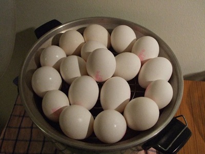 雞蛋洗淨（可用電鍋蒸熟或）加入能蓋住全部雞蛋的冷水，於爐上煮滾水後關火，悶10分鐘撈起浸冷水10分鐘。一一將蛋殼敲出裂紋。