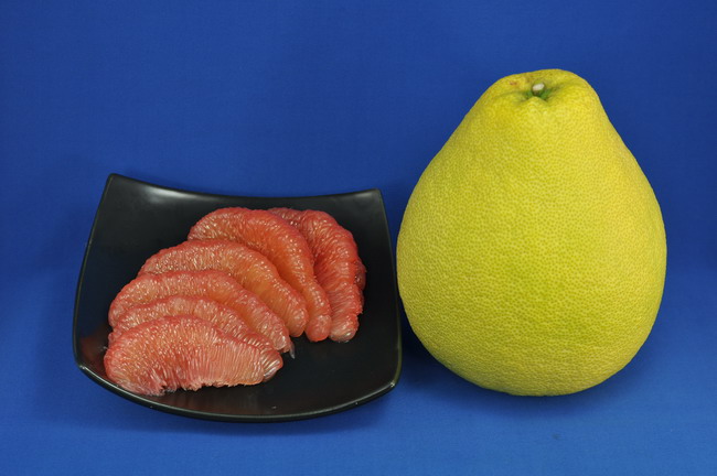 麻豆紅柚（Photo / 柑橘主題館）