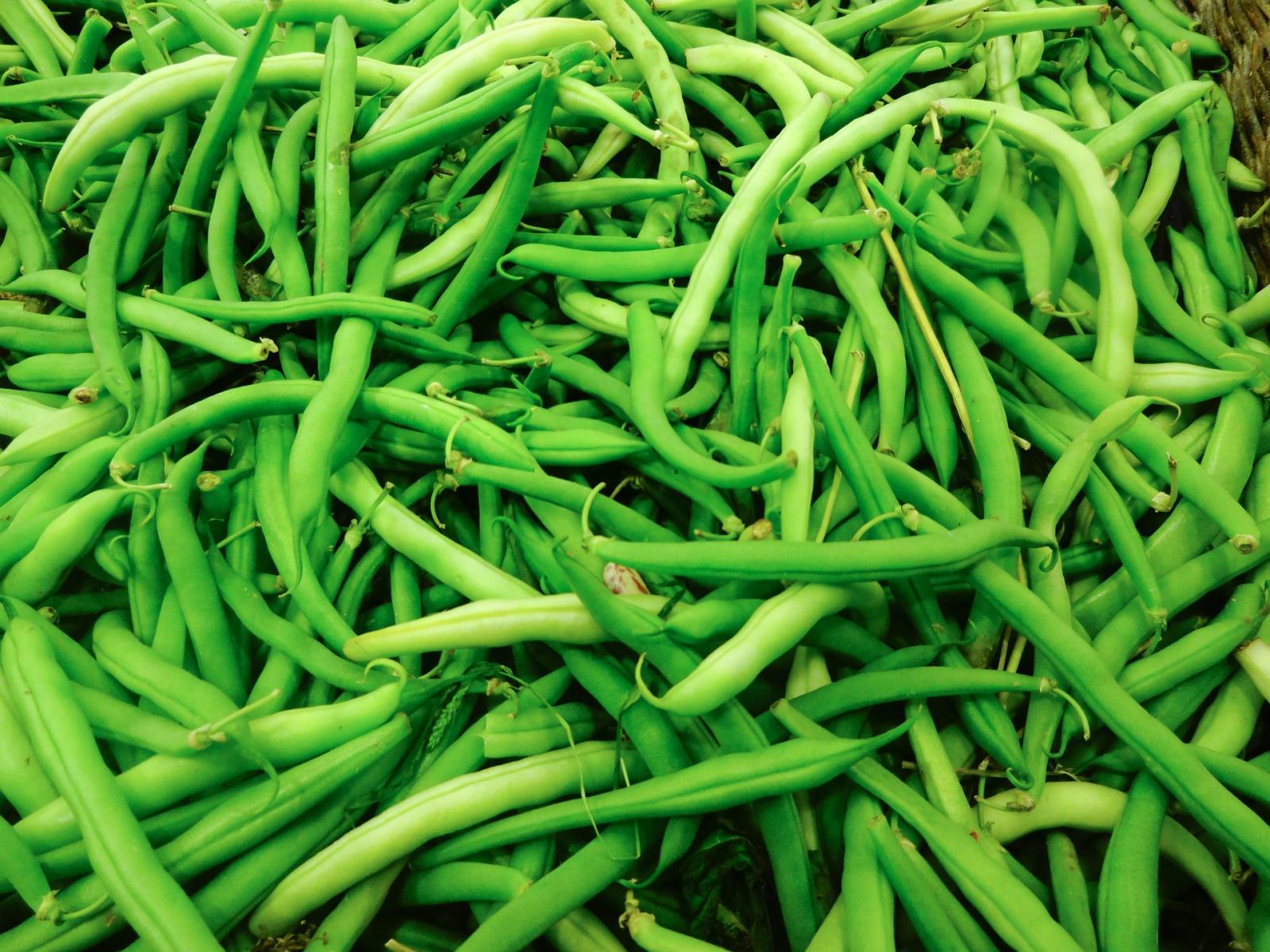 翠綠鮮甜四季豆　最佳常備蔬菜