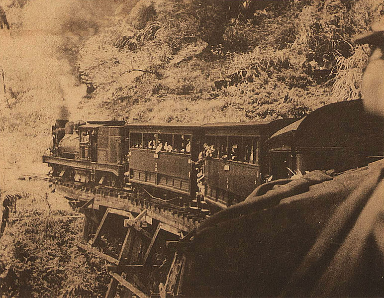 最初，阿里山火車的開發是為了搬運木材，現在已變成了交通、觀光列車。