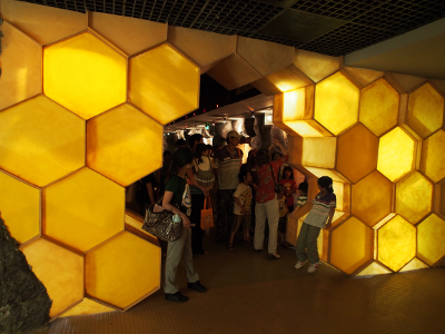 蜜蜂展示區