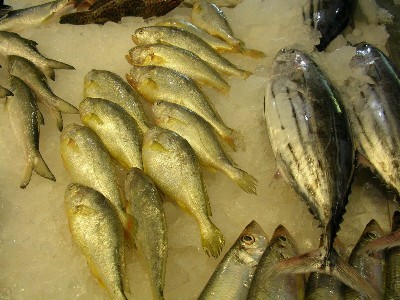 漁港內的漁市是買新鮮魚貨的好地方