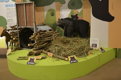 台灣黑熊會將芒草折成三角形作窩，還是全世界唯一會作窩的熊類