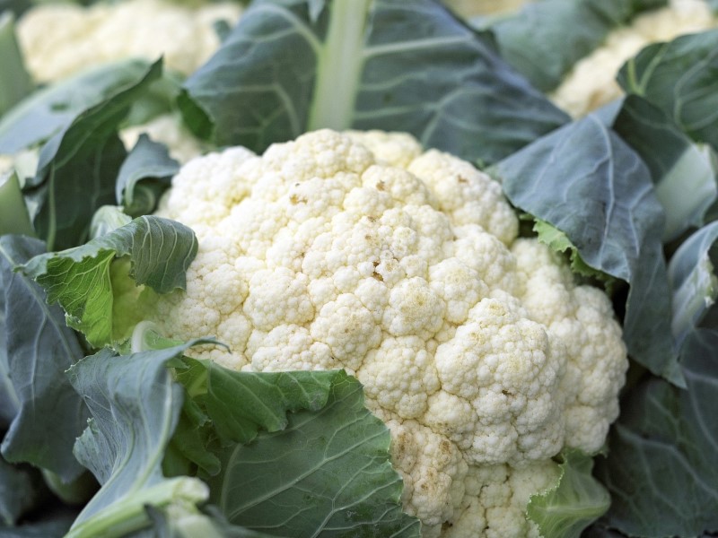 市面上最常見的就是白梗花椰菜。(photo / @Couleur_Pixabay)