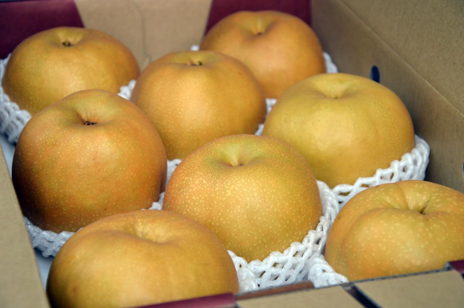 今年辛苦栽種的梨子終於可以裝箱出售！