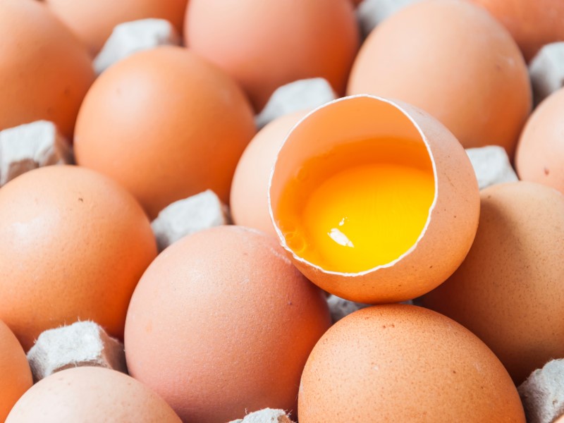 吃雞蛋最怕把細菌也吃進肚子裡。（photo / @4045 freepik）