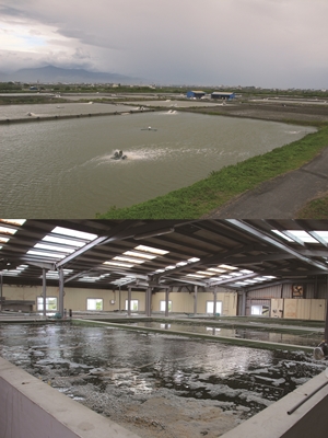 上為室外魚塭，下為室內養殖場魚塭，以太陽能帶動節能水車