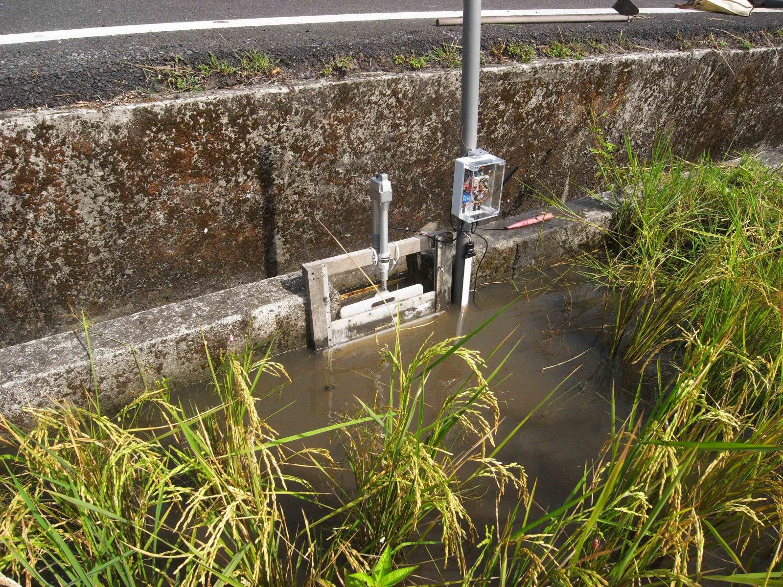 水田感測器可以測量水田土壤與水的溫度，以及水位高度