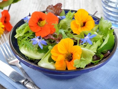 有了食用花卉的加入，食物顏色變得特別豐富了！