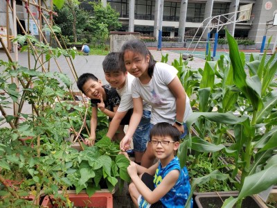 和朋友一起到菜園觀察蔬菜生長狀況。