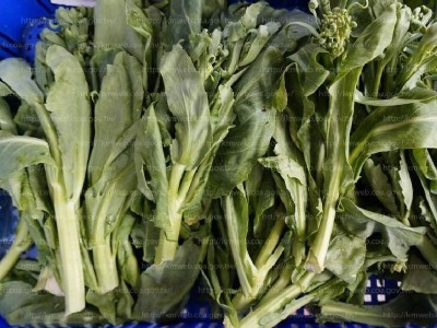 芥藍菜有十字花科蔬菜。(photo / 農業知識入口網)