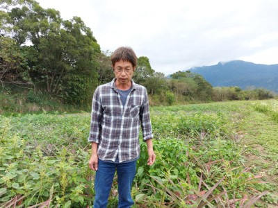 張鉦榮叔叔堅持以自然農法耕種農田。(photo / 黃薏芠拍攝)