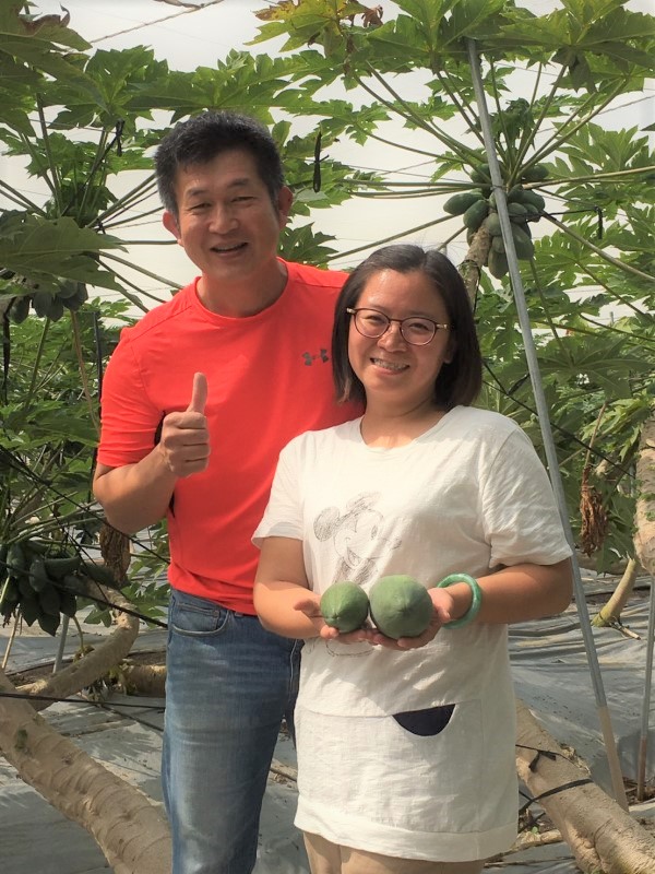 陳文億的木瓜品質非常好，也實施產銷履歷讓消費吃得安心！