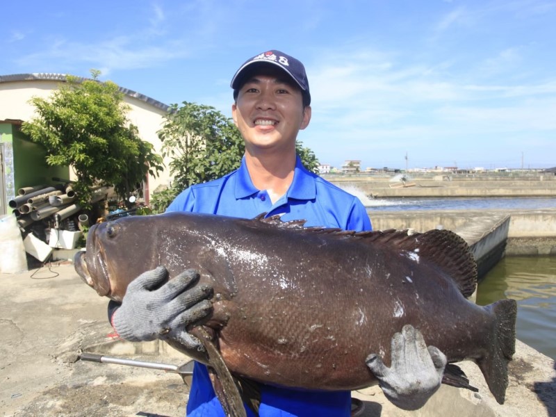 看！陳啓宏叔叔養出超大的魚。