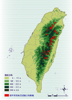 檜木天然林之記錄分布區域