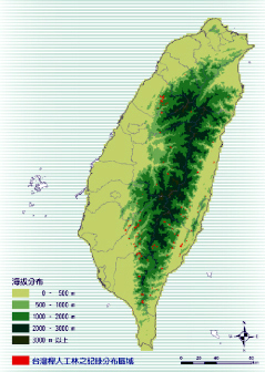 台灣櫸人工林分佈