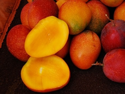 芒果～金黃的果肉、迷人的香氣、酸甜的滋味