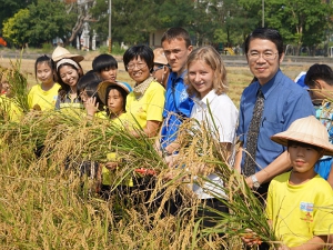 安佃國小師生和澳洲的交換學生歡喜收割安佃「金質米」