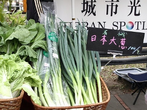 主力蔬菜～有機日本大蔥