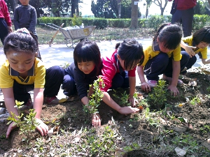 龍巖國小的小朋友在校園內種下小樹苗