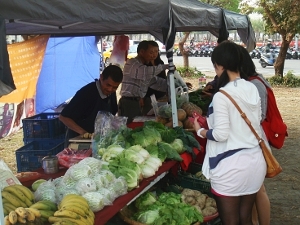 市集裡可以買到來自各縣市的當季安心蔬果