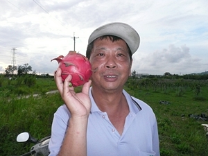 陳德源伯伯與他種植的有機紅龍果