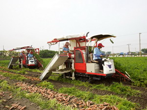 透過農業產銷班擴大經營規模後，班員們採取機械化栽培可降低生產成本（照片由活力東勢提供）