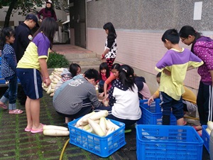 同學們一起齊心協力洗蘿蔔